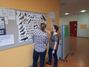 VOGEL-WILDLIFE VOR DER SCHULTÜR – Beobachten, Bauen, Beschützen